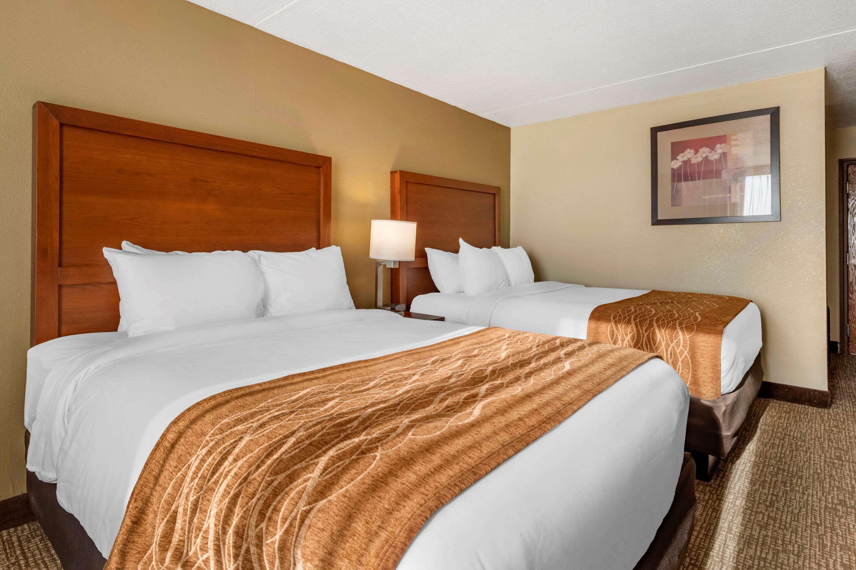 Comfort Inn & Suites Triadelphia Экстерьер фото