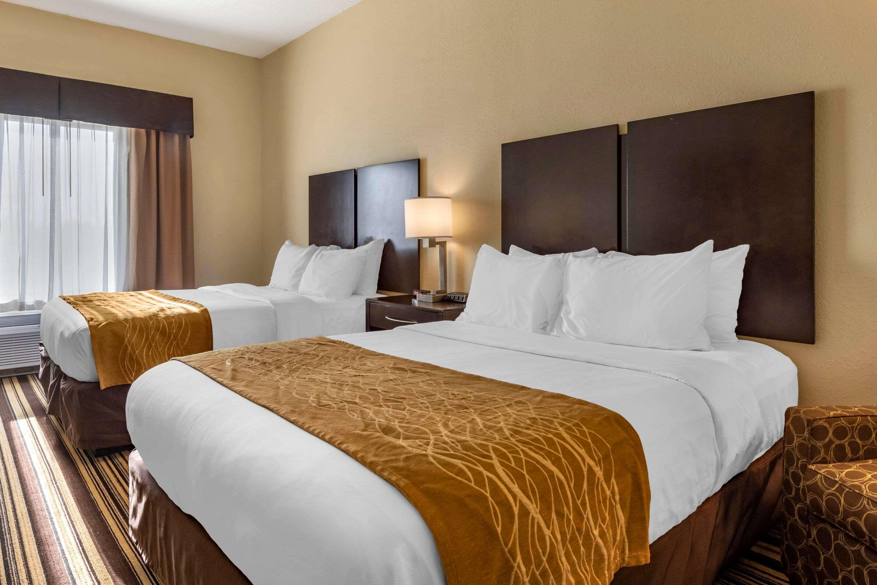 Comfort Inn & Suites Triadelphia Экстерьер фото
